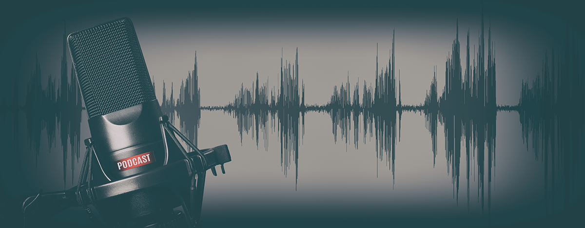 Vater Sohn Podcast - Über